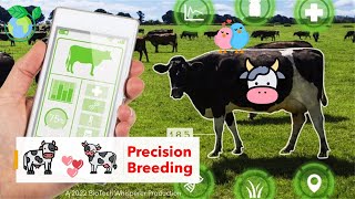 Learn About Precision Breeding in 4 Minutes