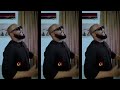Eze Yoyo  - David Jones David @davidjonesdavid 