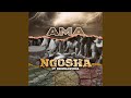 Ngosha (feat. Dzomolavenda)