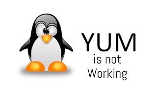 yum is not updating and not installing any package on centos 7 | Redhat