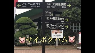 埼玉県の日高市にある【サイボクハム】にやって来ました🐷とりあえぶらぶらしてみます。『SAIBOKU』