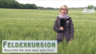 7. Feldexkursion: Sommerungen, Hafer - NU Agrar, 27.05.2015