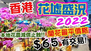 【過年行花市】香港旺角花墟行情🌸 本地花農減價止蝕!!! 低價入手出發前必睇💰 蘭花 水仙 桃花 百合 桔仔 最新年花品種 一齊行花市 Hong Kong Flower Market  | 吃喝玩樂