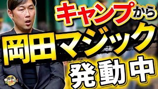 2年目門別投手覚醒の予感。ルーキー椎葉投手で気になる点。阪神熾烈なレギュラー争い。佐藤輝明選手の特守