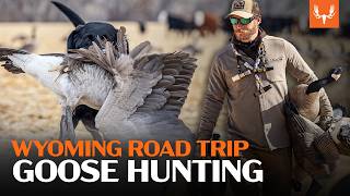 Wyoming Goose Hunting | Flying V