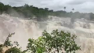 waterfall Jamjir #waterfall #gir#monsoon #beautiful  Jamvala Gir