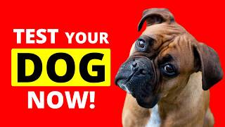 Will Your DOG React & Respond to These 20 SOUNDS? 🐶