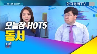 [주식투자]개인투자자HOT5_동서