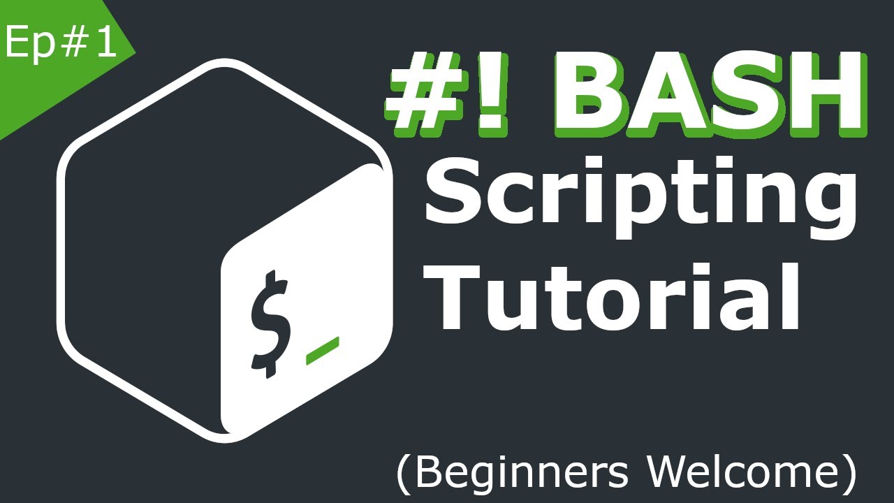 Bash Shell Scripting Tutorial For Beginners | Our First Script Using ...