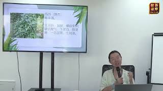 49 第四十九讲丨荆芥：药性轻灵，且兼备下淤血与祛湿痹作用