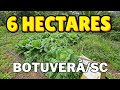 CHÁCARA EM BOTUVERÁ COM 6 HECTARES,2 POÇOS ARTESIANOS, 2 CASAS,FRUTAS E HORTA E PRÓXIMO DA CIDADE!