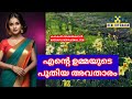 ഉമ്മയുടെ ശാന്തി നിലയം motivational life stories