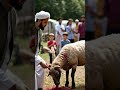 eid ul adha 2024 bakra eid mubarak bakraeidspecial eiduladha2024