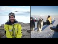 From plumbing to penguins My year working in Antarctica  Everyday Stories  ABC Australia