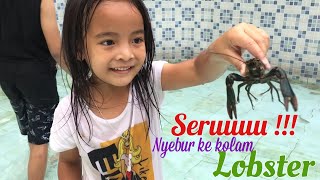 Serunya Nyebur ke Kolam Lobster | Zara Menangkap Lobster dan Ikan | Melatih Keberanian Anak