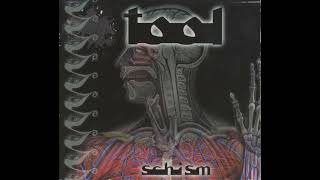 Tool - Schism (Guitar Backing Track)