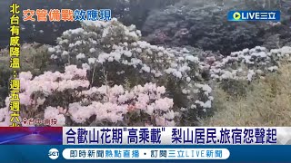 苦到當地居民! 合歡山花期\