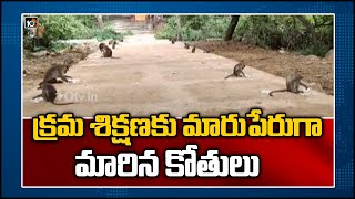 క్రమ శిక్షణకు మారుపేరుగా మారిన కోతులు | Monkeys Following Social Distancing | Chittoor District