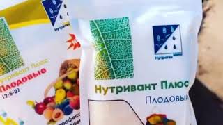 Нутривант плюс Плодовые