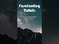 Saving Player Settings with Unity's PlayerPrefs