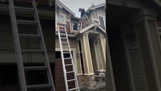 Gutter Cleaning Bothell WA | Seattle ProWash