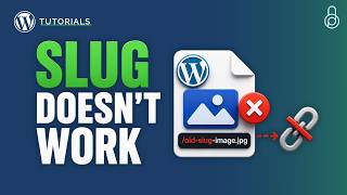 How to Change File URL in WordPress (2 Working Methods)