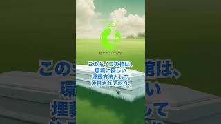 キノコでできた棺が話題！？棺ごと自然に還ることができる！