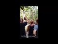 video 1 borneo orangutan borneo save orangutan kalimantan orangutan