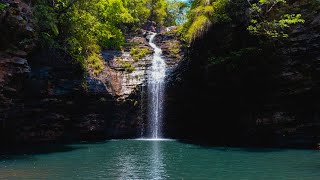 Beautiful Hidden Waterfalls Above Talakona Waterfalls | Complete Trek Route | #talakona #tirupati