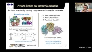 The power and promise of functional proteomics for understanding cell biology and disease