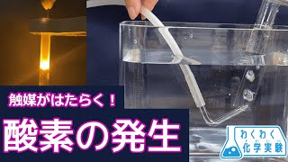 酸素の発生【わくわく化学実験④】