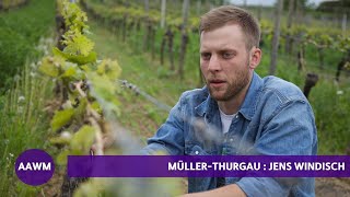 Muller-Thurgau: German Winemaker Jens Windisch Explains