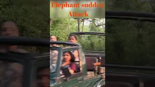 Tusker Elephant sudden attack। टस्कर ने छिपकर किया हमला| Elephant attack| Elephant| Jungle | Corbett