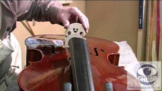 How to Set Up a Student Cello Correctly