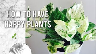 5 BEGINNER TIPS FOR HAPPY HOUSEPLANTS 🌿