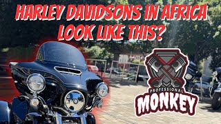 I Went To An African Harley Davidson Dealer And Saw Something Amazing!