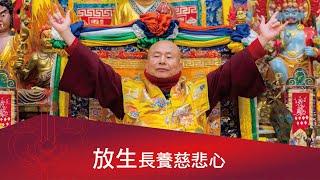 放生長養慈悲心，贊助收養流浪動物，也是放生。 2021-12-11, 蓮生活佛開示-互動就是力量