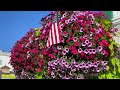 mackinac island garden tour the most vibrant and diverse gardens you ll ever see