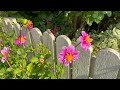 mackinac island garden tour the most vibrant and diverse gardens you ll ever see