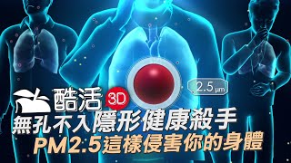 【3D酷活】PM2.5 是怎麼侵害你的身體？ | 60秒動知識 | 台灣蘋果日報