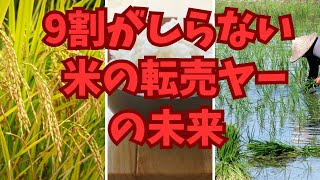 【ゆっくり解説】悲報　米の転売ヤー「備蓄米放出を止めて！僕ら死活問題だだわ」