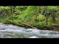 8k footage oirase gorge bigger waterfall of choshi 奥入瀬渓流銚子大滝_8k