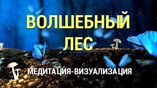 Медитация-Визуализация Волшебный Лес 🌳 Самогипноз 😴 Осознанный Сон