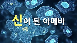 말랑말랑하게 만든 무시무시한 헤겔의 정신현상학