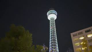 【4K Live】Walking around Yokohama Christmas Lights