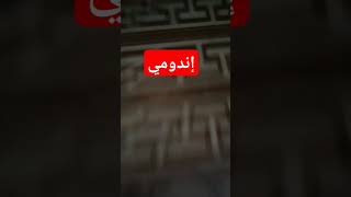 شاركت بالترند 🥰🥰🥰🥰