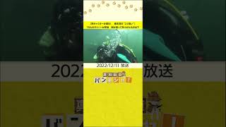 【桝キャスターが潜る！　東京湾の“ゴミ拾い”】70人のダイバーが参加　桝が潜って見つけたものは？#shorts