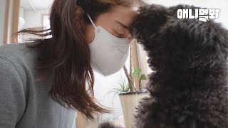 ＂분리불안이 아니에요＂ 혼자 남겨진 강아지가 집을 헤집고 다닌 슬픈 이유ㅣSecret Of A Dog Who Thought To Have A Separation Anxiety