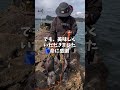 【衝撃】釣り神様のイタズラ。short ver. part1_次回、これを上回る衝撃。 石鯛釣り fishing shorts