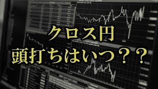 クロス円の頭打ちはいつなのか？？【FX為替相場予想】2019.1.29